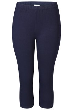 Ilus 690